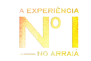 A Experiência Nº 1 no Arraiá